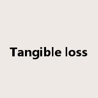 Tangible loss是什么意思