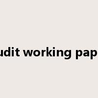 audit working paper是什么意思