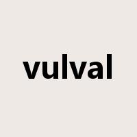 vulval是什么意思