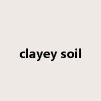 clayey soil是什么意思