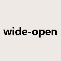 wide-open是什么意思