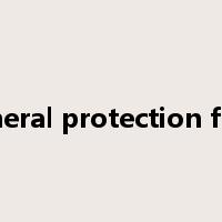 General protection fault是什么意思