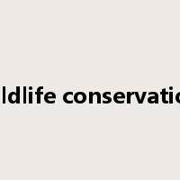 wildlife conservation是什么意思