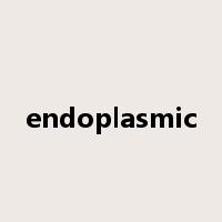 endoplasmic是什么意思