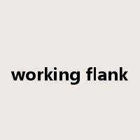 working flank是什么意思