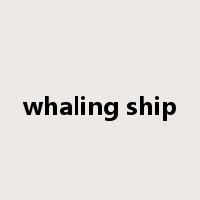 whaling ship是什么意思