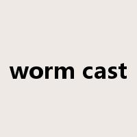 worm cast是什么意思