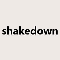 shakedown是什么意思