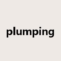 plumping是什么意思