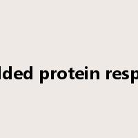 unfolded protein response是什么意思