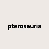 pterosauria是什么意思