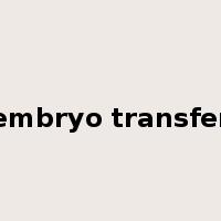 embryo transfer是什么意思