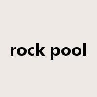 rock pool是什么意思
