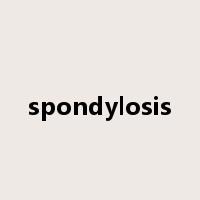 spondylosis是什么意思
