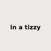 in a tizzy是什么意思