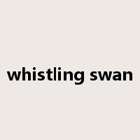 whistling swan是什么意思