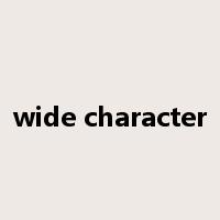 wide character是什么意思