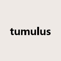 tumulus是什么意思