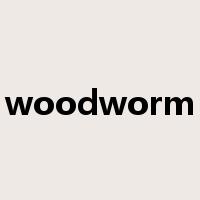 woodworm是什么意思