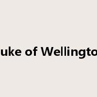 Duke of Wellington是什么意思