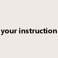 your instruction是什么意思