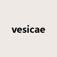 vesicae是什么意思
