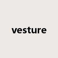vesture是什么意思