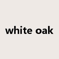 white oak是什么意思