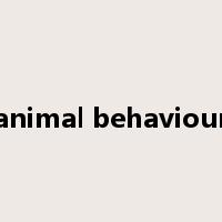 animal behaviour是什么意思