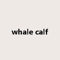 whale calf是什么意思