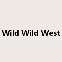 Wild Wild West是什么意思