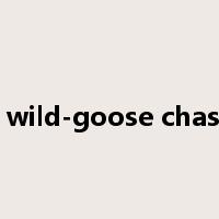 a wild-goose chase是什么意思