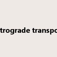 retrograde transport是什么意思