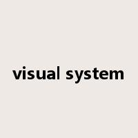 visual system是什么意思