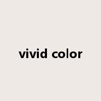 vivid color是什么意思