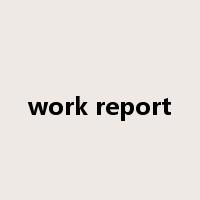 work report是什么意思
