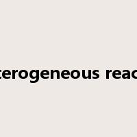 heterogeneous reactor是什么意思