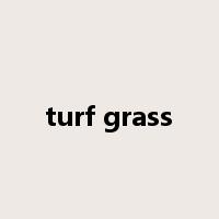 turf grass是什么意思