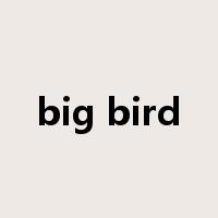 big bird是什么意思