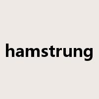hamstrung是什么意思