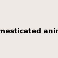 domesticated animal是什么意思