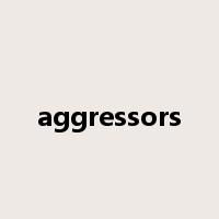 aggressors是什么意思