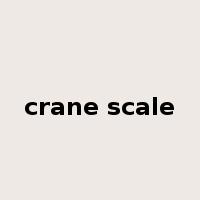 crane scale是什么意思
