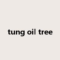 tung oil tree是什么意思