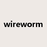 wireworm是什么意思