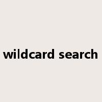 wildcard search是什么意思