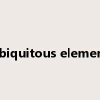 ubiquitous element是什么意思