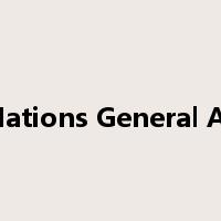 United Nations General Assembly是什么意思