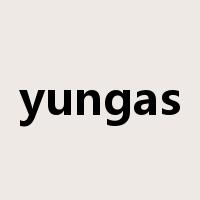 yungas是什么意思