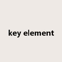 key element是什么意思